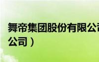 舞帝集团股份有限公司（舞帝集团旗下有哪些公司）