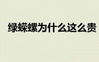 绿蝾螺为什么这么贵（绿蝾螺学名叫什么）