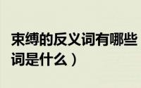 束缚的反义词有哪些（束缚的反义词或是近义词是什么）