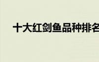 十大红剑鱼品种排名（十大红剑鱼品种）