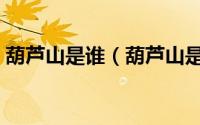 葫芦山是谁（葫芦山是四大名著哪里的人物）