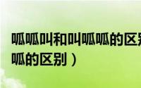 呱呱叫和叫呱呱的区别是什么（呱呱叫和叫呱呱的区别）