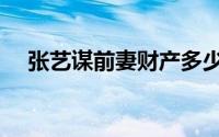 张艺谋前妻财产多少（张艺谋前妻财产）