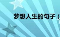 梦想人生的句子（梦想人生的意思）
