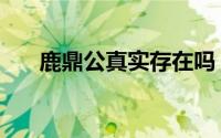 鹿鼎公真实存在吗（鹿鼎公什么意思）