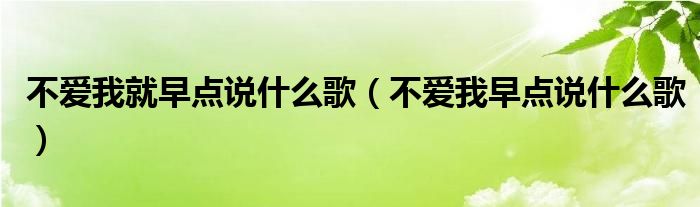 不爱我就早点说什么歌（不爱我早点说什么歌）