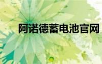 阿诺德蓄电池官网（阿诺德电池好吗）