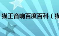 猫王音响百度百科（猫王最有名的歌有哪些）