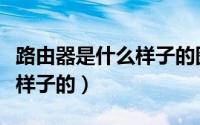 路由器是什么样子的图片大全（路由器是什么样子的）