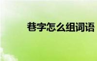 巷字怎么组词语（巷字怎么组词）