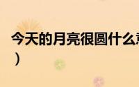 今天的月亮很圆什么意思（月亮很圆什么意思）