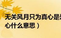 无关风月只为真心是爱情吗（无关风月只为真心什么意思）