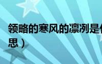 领略的寒风的凛冽是什么意思（凛冽是什么意思）