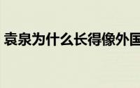 袁泉为什么长得像外国人（袁泉的原配老公）