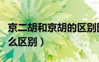 京二胡和京胡的区别图片（京二胡与京胡有什么区别）