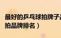 最好的乒乓球拍牌子品牌（公认最好的乒乓球拍品牌排名）