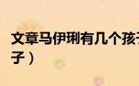 文章马伊琍有几个孩子（马伊琍共生了几个孩子）