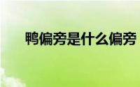鸭偏旁是什么偏旁（鸭字是什么偏旁）