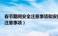 春节期间安全注意事项和安防措施物业（最新春节期间安全注意事项）