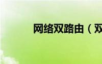 网络双路由（双路由器是什么）