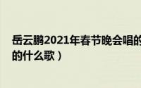 岳云鹏2021年春节晚会唱的歌曲（岳云鹏2021春节晚会唱的什么歌）