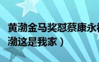 黄渤金马奖怼蔡康永视频（蔡康永为什么说黄渤这是我家）