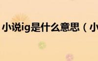 小说ig是什么意思（小说里的LG是什么意思）