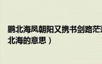 鹏北海凤朝阳又携书剑路茫茫什么意思（苏武牧羊雪屡餐于北海的意思）