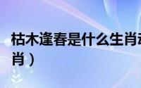 枯木逢春是什么生肖动物（枯木逢春是什么生肖）