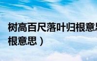 树高百尺落叶归根意思视频（树高百尺落叶归根意思）