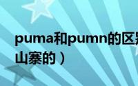 puma和pumn的区别（pamu和puma谁是山寨的）