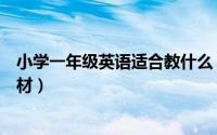 小学一年级英语适合教什么（一年级孩子适合学哪些英语教材）