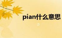 pian什么意思（pian什么梗）