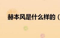 赫本风是什么样的（赫本风有什么特点）