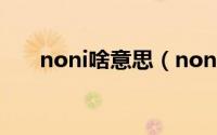 noni啥意思（nono指的是什么意思）