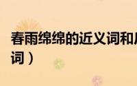 春雨绵绵的近义词和反义词（春雨绵绵的近义词）