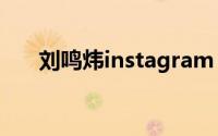 刘鸣炜instagram（刘鸣炜长相分析）