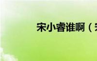 宋小睿谁啊（宋小睿怎么了）