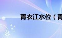 青衣江水位（青衣江水系地图）