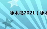 啄木鸟2021（啄木鸟电影名字合集）