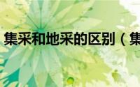 集采和地采的区别（集采和地采是什么意思）