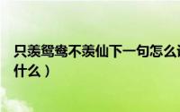 只羡鸳鸯不羡仙下一句怎么说（只羡鸳鸯不羡仙的下一句是什么）