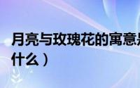 月亮与玫瑰花的寓意是什么（玫瑰花的寓意是什么）