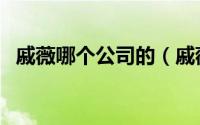 戚薇哪个公司的（戚薇属于哪个经纪公司）