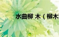 水曲柳 木（柳木和水曲柳一样吗）