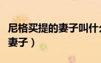 尼格买提的妻子叫什么名字（尼格买提有几任妻子）