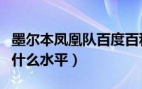 墨尔本凤凰队百度百科（墨尔本凤凰队在澳洲什么水平）