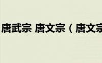唐武宗 唐文宗（唐文宗与唐武宗是什么关系）
