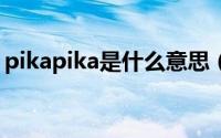 pikapika是什么意思（PIKAPIKA什么意思）