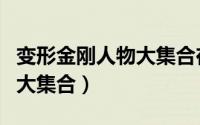 变形金刚人物大集合在线观看（变形金刚人物大集合）